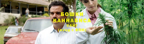 индика Богданович
