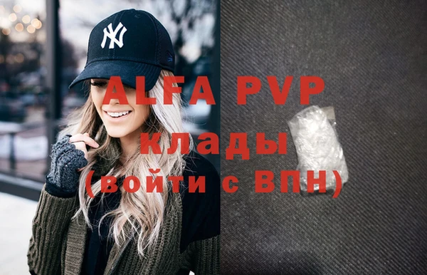 индика Богданович