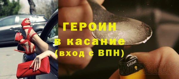 индика Богданович