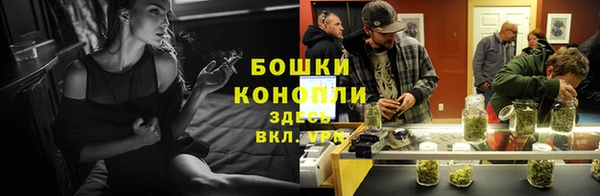 СК Богородицк