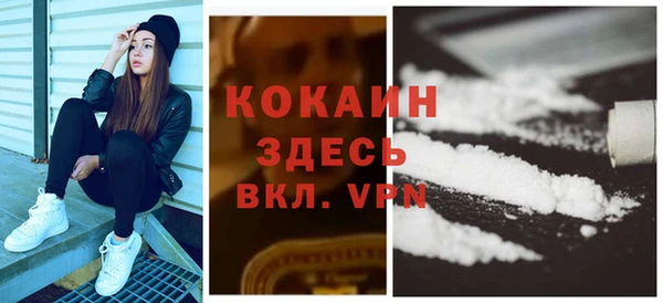 индика Богданович