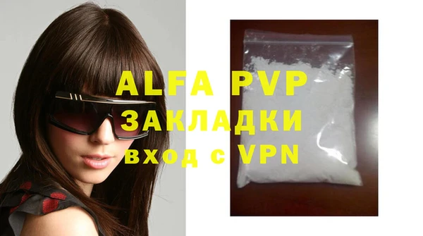 индика Богданович