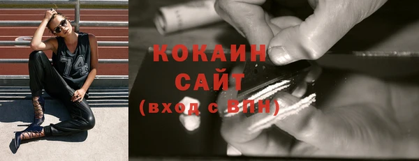 индика Богданович