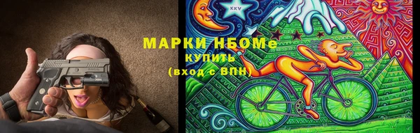 индика Богданович
