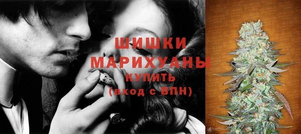 индика Богданович