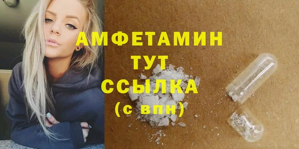 индика Богданович