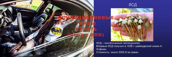 СК Богородицк