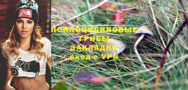 марки lsd Рославль
