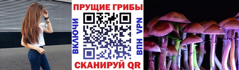 Галлюциногенные грибы Cubensis  MEGA   Конаково 